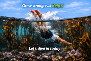 website with text BCO.27418391-435c-4089-92e0-e431e0f839a1